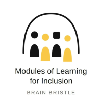 Modules Of Learning for Inclusion
